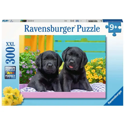 Ravensburger puzzel 300 stukjes 9 + Zwarte Labradors